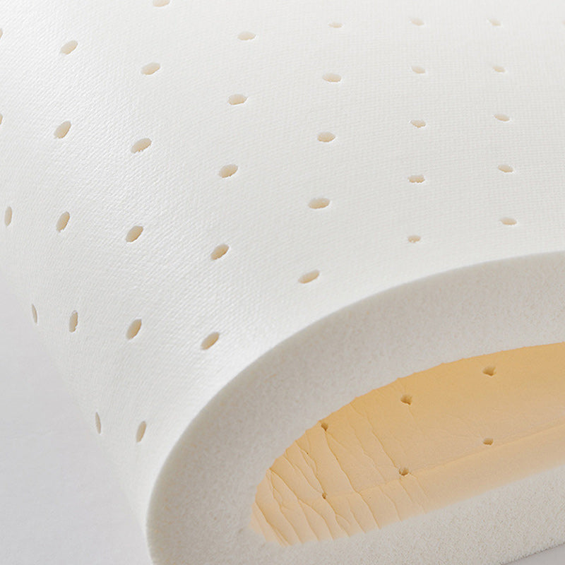 Stationary Stain Resistant 3 Seater Living Room Standard Sofa with Multiple Cushions Clearhalo 'furn' 'furn_sofas' 'Furniture' 'furniture_sofas' 'kitchen' 'kitchen_sofas' 'Living Room Furniture' 'Sofa' 'sofas' 4648303