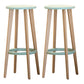 Contemporary Simple Wood Counter Stools Circular Seats Indoor Bar Stool Green Set of 2 Clearhalo 'Bar Furniture' 'Bar Stools' 'bar_stools' 'furniture_bar_stools' 'Kitchen & Dining Furniture' 'kitchen&dining_furn' 'kitchen' 'kitchen_furn' Furniture' 4654289