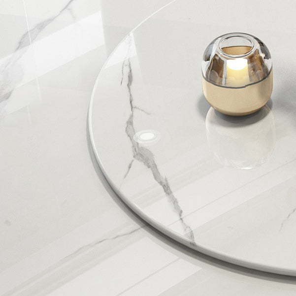 Modern Style 1/4/5/7/9 Pieces Dining Sintered Stone Dining Table Set with Metal Legs Clearhalo 'Dining Room Sets' 'Dining Tables & Seating' 'dining_room_set' 'furn' 'furn_dining_room_set' 'Furniture' 'furniture_dining_room_set' 'Kitchen & Dining Furniture' 'kitchen&dining_furn' 'kitchen' 4654964