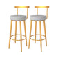 Glam Style Bar-stool with Footrest Metal Legs Low Back for Kitchen Bar 2 Piece Set Bar Stool(30"H) Clearhalo 'Bar Furniture' 'Bar Stools' 'bar_stools' 'furn' 'furn_bar_stools' 'furniture_bar_stools' 'Kitchen & Dining Furniture' 'kitchen&dining_furn' 'kitchen' 'kitchen_furn' Furniture' 4664587