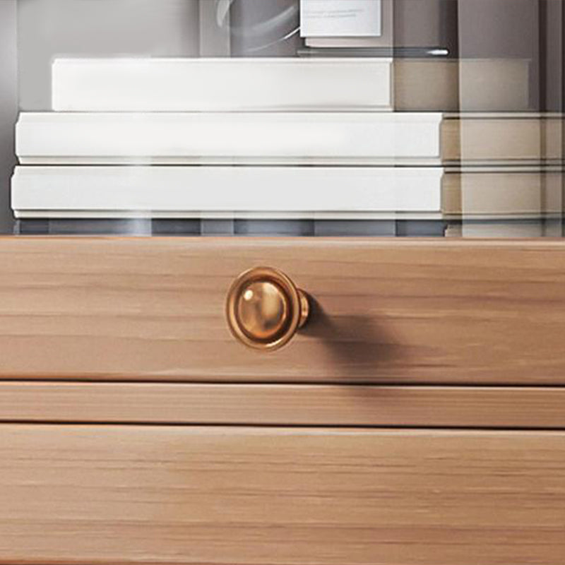 Contemporary Barrister Brown Bookshelf Engineered Wood Closed Back Shelf with Door Clearhalo 'Bookcases' 'furn' 'furn_bookcases' 'Furniture' 'furniture_bookcases' 'kitchen' 'kitchen_bookcases' 'Living Room Furniture' 'Office Furniture' 4670733