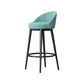 Metal Scandinavian Kitchen Dining Room Armless Stool Low Back Bar Stool Lake Green 1 Piece Clearhalo 'Bar Furniture' 'Bar Stools' 'bar_stools' 'furn' 'furn_bar_stools' 'furniture_bar_stools' 'Kitchen & Dining Furniture' 'kitchen&dining_furn' 'kitchen' 'kitchen_furn' Furniture' 4679192
