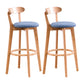 Wood Scandinavian Kitchen Dining Room Armless Stool Low Back Bar Stool Blue 2 Piece Set Clearhalo 'Bar Furniture' 'Bar Stools' 'bar_stools' 'furn' 'furn_bar_stools' 'furniture_bar_stools' 'Kitchen & Dining Furniture' 'kitchen&dining_furn' 'kitchen' 'kitchen_furn' Furniture' 4679436