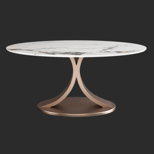 Modern 1/4/7 Pieces Dining Table Set with Sintered Stone Top Stainless Steel Dinette Set Clearhalo 'Dining Room Sets' 'Dining Tables & Seating' 'dining_room_set' 'furn' 'furn_dining_room_set' 'Furniture' 'furniture_dining_room_set' 'Kitchen & Dining Furniture' 'kitchen&dining_furn' 'kitchen' 4684279