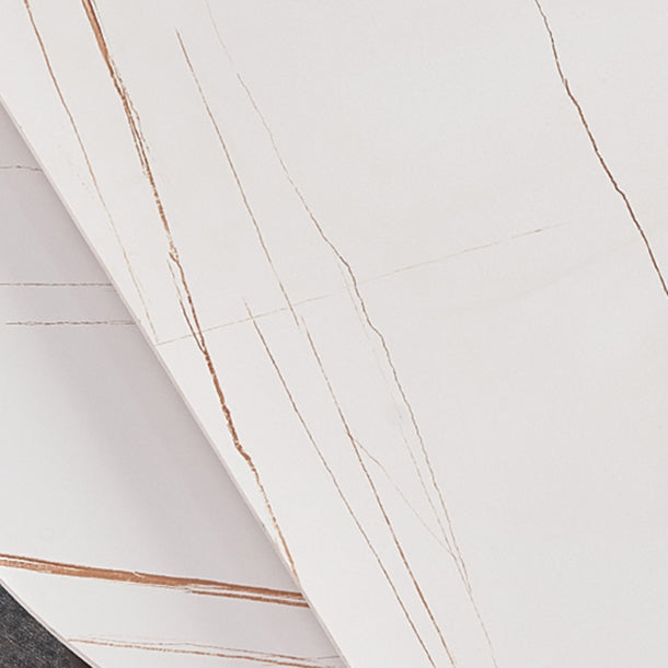 Modern 1/3/4/5/7 Pieces White Dining Table Set with Sintered Stone Top Round Dinette Set Clearhalo 'Dining Room Sets' 'Dining Tables & Seating' 'dining_room_set' 'furn' 'furn_dining_room_set' 'Furniture' 'furniture_dining_room_set' 'Kitchen & Dining Furniture' 'kitchen&dining_furn' 'kitchen' 4684817