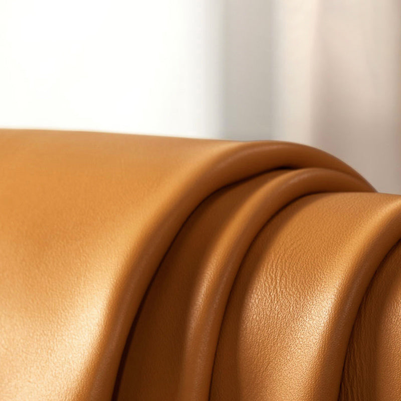 Stationary Living Room Pillow Top Arm Standard Cushions Sofa Chaise Clearhalo 'furn' 'furn_sofas' 'Furniture' 'furniture_sofas' 'kitchen' 'kitchen_sofas' 'Living Room Furniture' 'Sofa' 'sofas' 4689088