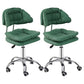 Leather Swivel Adjustable Height Bar Stool Matte Finish Home Low Back Stool Green 2 Piece Set Counter Stool (23.5"H) Clearhalo 'Bar Furniture' 'Bar Stools' 'bar_stools' 'furn' 'furn_bar_stools' 'furniture_bar_stools' 'Kitchen & Dining Furniture' 'kitchen&dining_furn' 'kitchen' 'kitchen_furn' Furniture' 4692267