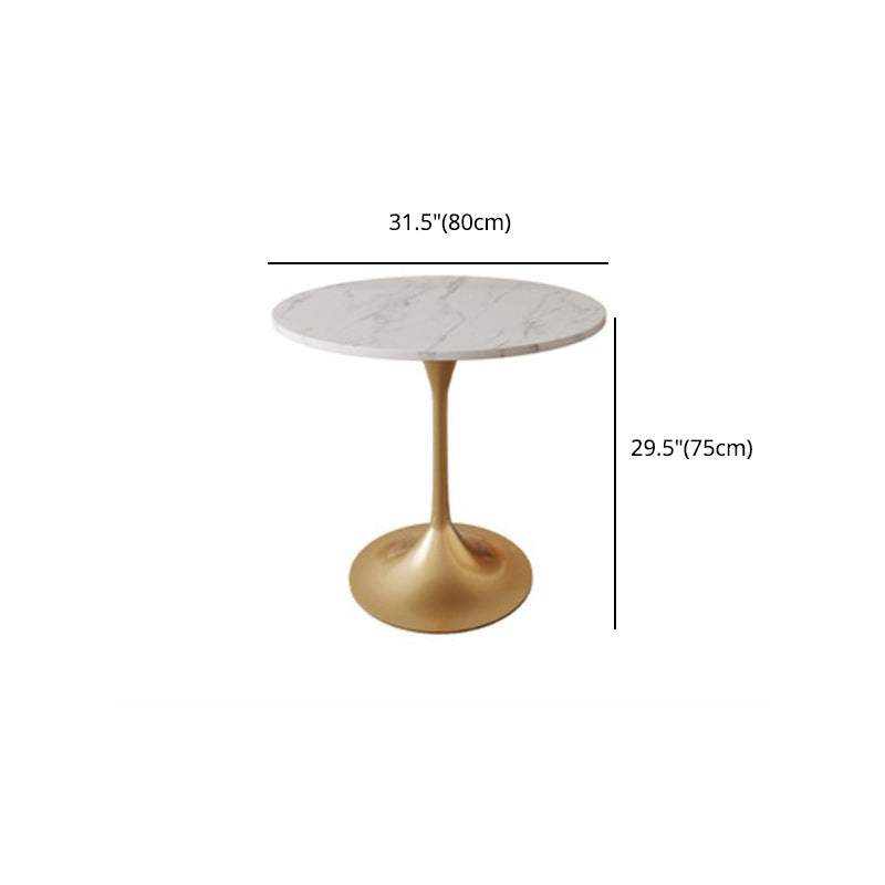 Glam Style 1/5 Pieces Dining Set White-gold Table Kitchen Set for Dining Room Clearhalo 'Dining Room Sets' 'Dining Tables & Seating' 'dining_room_set' 'furn' 'furn_dining_room_set' 'Furniture' 'furniture_dining_room_set' 'Kitchen & Dining Furniture' 'kitchen&dining_furn' 'kitchen' 4693017