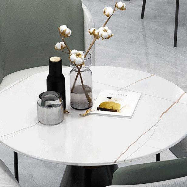 Sintered Stone Dining Table Modern Round Dining Table with Pedestal Base Clearhalo ' dining_table' 'Dining Tables & Seating' 'Dining Tables' 'furn' 'furn_dining_table' 'Furniture' 'furniture_dining_table' 'Kitchen & Dining Furniture' 'kitchen&dining_furn' 'kitchen' 'kitchen_dining_table' 4693440