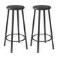 Contemporary Footrest Backless Barstool Matte Finish Iron Stool Matte Black 2 Piece Set Bar Stool(30"H) Clearhalo 'Bar Furniture' 'Bar Stools' 'bar_stools' 'furn' 'furn_bar_stools' 'Furniture' 'furniture_bar_stools' 'Kitchen & Dining Furniture' 4705811