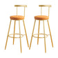 Glam Low Back Footrest Barstool Matte Finish Leather Reception Stool Orange 2 Piece Set Clearhalo 'Bar Furniture' 'Bar Stools' 'bar_stools' 'furn' 'furn_bar_stools' 'Furniture' 'furniture_bar_stools' 'Kitchen & Dining Furniture' 4705843
