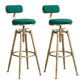 Glam Style Upholstered Bar Stools for Home Armless Stools with Metal Base Green With Back 2 Piece Set Clearhalo 'Bar Furniture' 'Bar Stools' 'bar_stools' 'furn' 'furn_bar_stools' 'Furniture' 'furniture_bar_stools' 'Kitchen & Dining Furniture' 4705971