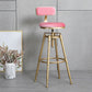 Glam Style Upholstered Bar Stools for Home Armless Stools with Metal Base Clearhalo 'Bar Furniture' 'Bar Stools' 'bar_stools' 'furn' 'furn_bar_stools' 'Furniture' 'furniture_bar_stools' 'Kitchen & Dining Furniture' 4705972