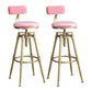 Glam Style Upholstered Bar Stools for Home Armless Stools with Metal Base Pink With Back 2 Piece Set Clearhalo 'Bar Furniture' 'Bar Stools' 'bar_stools' 'furn' 'furn_bar_stools' 'Furniture' 'furniture_bar_stools' 'Kitchen & Dining Furniture' 4705989
