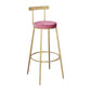 Contemporary Round Bar and Counter Stool Metal Stool with 4 Gold Legs Pink 1 Piece Clearhalo 'Bar Furniture' 'Bar Stools' 'bar_stools' 'furn' 'furn_bar_stools' 'Furniture' 'furniture_bar_stools' 'Kitchen & Dining Furniture' 4706014