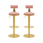 Contemporary Metal Bar and Counter Stool Low Back Stool with Pedestal Base in Gold Pink 2 Piece Set Bar Stool(31"H) Clearhalo 'Bar Furniture' 'Bar Stools' 'bar_stools' 'furn' 'furn_bar_stools' 'Furniture' 'furniture_bar_stools' 'Kitchen & Dining Furniture' 4706055
