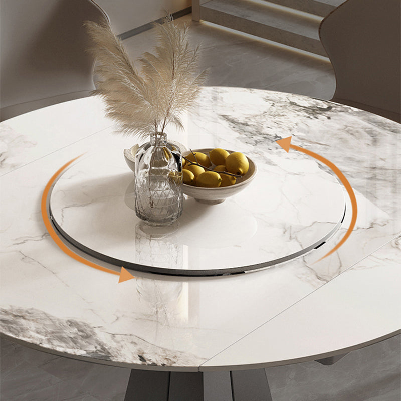 Modern Sintered Stone Top Dining Table Extendable Round Table with Pedestal Base Clearhalo 'Dining Tables & Seating' 'Dining Tables' 'dining_table' 'furn' 'furn_dining_table' 'Furniture' 'furniture_dining_table' 'Kitchen & Dining Furniture' 'kitchen' 'kitchen_dining_table' 4707074