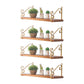 Modern Style Wooden Bookshelf Wall Mounted Shelf Bookcase for Home Gold 4 Piece Set Clearhalo 'Bookcases' 'furn' 'furn_bookcases' 'Furniture' 'furniture_bookcases' 'kitchen' 'kitchen_bookcases' 'Living Room Furniture' 'Office Furniture' 4708015