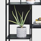 Industrial Style Metal Bookshelf Black Open Shelf Bookcase for Office Clearhalo 'Bookcases' 'furn' 'furn_bookcases' 'Furniture' 'furniture_bookcases' 'kitchen' 'kitchen_bookcases' 'Living Room Furniture' 'Office Furniture' 4708972