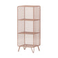Closed Back Industrial Standard Bookshelf Iron Vertical Bookshelf for Bedroom 14"L x 12"W x 35"H Rose Gold Clearhalo 'Bookcases' 'furn' 'furn_bookcases' 'Furniture' 'furniture_bookcases' 'kitchen' 'kitchen_bookcases' 'Living Room Furniture' 'Office Furniture' 4719441