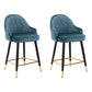 Modern Armless Backrest Counter Stool Iron Bedroom Bar Stool with Cushion and Pedal Royal Blue 2 Piece Set Short Stool(22"H) Clearhalo 'Bar Furniture' 'Bar Stools' 'bar_stools' 'furn' 'furn_bar_stools' 'Furniture' 'furniture_bar_stools' 'Kitchen & Dining Furniture' 4729962