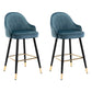Modern Armless Backrest Counter Stool Iron Bedroom Bar Stool with Cushion and Pedal Royal Blue 2 Piece Set Counter Stool(26"H) Clearhalo 'Bar Furniture' 'Bar Stools' 'bar_stools' 'furn' 'furn_bar_stools' 'Furniture' 'furniture_bar_stools' 'Kitchen & Dining Furniture' 4729963