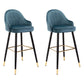 Modern Armless Backrest Counter Stool Iron Bedroom Bar Stool with Cushion and Pedal Royal Blue 2 Piece Set Bar Stool(30"H) Clearhalo 'Bar Furniture' 'Bar Stools' 'bar_stools' 'furn' 'furn_bar_stools' 'Furniture' 'furniture_bar_stools' 'Kitchen & Dining Furniture' 4729964