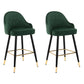 Modern Armless Backrest Counter Stool Iron Bedroom Bar Stool with Cushion and Pedal Blackish Green 2 Piece Set Counter Stool(26"H) Clearhalo 'Bar Furniture' 'Bar Stools' 'bar_stools' 'furn' 'furn_bar_stools' 'Furniture' 'furniture_bar_stools' 'Kitchen & Dining Furniture' 4729966