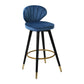 Modern Armless Backrest Counter Stool Iron Study Bar Stool with Cushion and Pedal Royal Blue 1 Piece Clearhalo 'Bar Furniture' 'Bar Stools' 'bar_stools' 'furn' 'furn_bar_stools' 'Furniture' 'furniture_bar_stools' 'Kitchen & Dining Furniture' 4730026