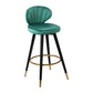 Modern Armless Backrest Counter Stool Iron Study Bar Stool with Cushion and Pedal Clearhalo 'Bar Furniture' 'Bar Stools' 'bar_stools' 'furn' 'furn_bar_stools' 'Furniture' 'furniture_bar_stools' 'Kitchen & Dining Furniture' 4730029