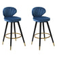 Modern Armless Backrest Counter Stool Iron Study Bar Stool with Cushion and Pedal Royal Blue 2 Piece Set Clearhalo 'Bar Furniture' 'Bar Stools' 'bar_stools' 'furn' 'furn_bar_stools' 'Furniture' 'furniture_bar_stools' 'Kitchen & Dining Furniture' 4730049