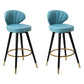 Modern Armless Backrest Counter Stool Iron Study Bar Stool with Cushion and Pedal Light Royal Blue 2 Piece Set Clearhalo 'Bar Furniture' 'Bar Stools' 'bar_stools' 'furn' 'furn_bar_stools' 'Furniture' 'furniture_bar_stools' 'Kitchen & Dining Furniture' 4730050