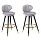 Modern Armless Backrest Counter Stool Iron Study Bar Stool with Cushion and Pedal Light Gray 2 Piece Set Clearhalo 'Bar Furniture' 'Bar Stools' 'bar_stools' 'furn' 'furn_bar_stools' 'Furniture' 'furniture_bar_stools' 'Kitchen & Dining Furniture' 4730051