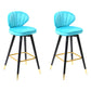Modern Armless Backrest Counter Stool Iron Study Bar Stool with Cushion and Pedal Sky Blue 2 Piece Set Clearhalo 'Bar Furniture' 'Bar Stools' 'bar_stools' 'furn' 'furn_bar_stools' 'Furniture' 'furniture_bar_stools' 'Kitchen & Dining Furniture' 4730054
