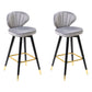 Modern Armless Backrest Counter Stool Iron Study Bar Stool with Cushion and Pedal Grey 2 Piece Set Clearhalo 'Bar Furniture' 'Bar Stools' 'bar_stools' 'furn' 'furn_bar_stools' 'Furniture' 'furniture_bar_stools' 'Kitchen & Dining Furniture' 4730055