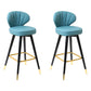 Modern Armless Backrest Counter Stool Iron Study Bar Stool with Cushion and Pedal Lake Blue 2 Piece Set Clearhalo 'Bar Furniture' 'Bar Stools' 'bar_stools' 'furn' 'furn_bar_stools' 'Furniture' 'furniture_bar_stools' 'Kitchen & Dining Furniture' 4730061
