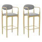 Scandinavian Upholstered Metal Counter Stools Low Back Bar Stools with 4 Legs Gold 2 Piece Set Clearhalo 'Bar Furniture' 'Bar Stools' 'bar_stools' 'furn' 'furn_bar_stools' 'Furniture' 'furniture_bar_stools' 'Kitchen & Dining Furniture' 4730508