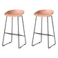 Scandinavian Style Bar-stool with Sled Legs Bucket Seat Counter Stool for Kitchen Bar Pink 2 Piece Set Bar Stool(30"H) Clearhalo 'Bar Furniture' 'Bar Stools' 'bar_stools' 'furn' 'furn_bar_stools' 'Furniture' 'furniture_bar_stools' 'Kitchen & Dining Furniture' 4730665