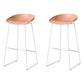 Scandinavian Style Bar-stool with Sled Legs Bucket Seat Counter Stool for Kitchen Bar Pink 2 Piece Set Counter Stool(26"H) Clearhalo 'Bar Furniture' 'Bar Stools' 'bar_stools' 'furn' 'furn_bar_stools' 'Furniture' 'furniture_bar_stools' 'Kitchen & Dining Furniture' 4730672