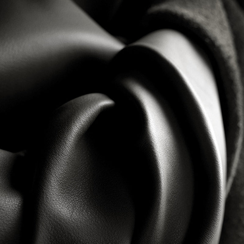 Living Room Contemporary Pillow Top Arm Standard Pillows Sofa Chaise Clearhalo 'furn' 'furn_sofas' 'Furniture' 'furniture_sofas' 'kitchen' 'kitchen_sofas' 'Living Room Furniture' 'Sofa' 'sofas' 4741125