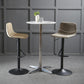 Modern Metal Dining Kitchen Room Armless Stool Low Back Bar Stool Clearhalo 'Bar Furniture' 'Bar Stools' 'bar_stools' 'furn' 'furn_bar_stools' 'Furniture' 'furniture_bar_stools' 'Kitchen & Dining Furniture' 4745082