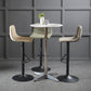 Modern Metal Dining Kitchen Room Armless Stool Low Back Bar Stool Clearhalo 'Bar Furniture' 'Bar Stools' 'bar_stools' 'furn' 'furn_bar_stools' 'Furniture' 'furniture_bar_stools' 'Kitchen & Dining Furniture' 4745086