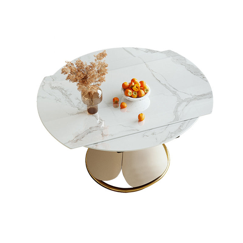 Glam 1/4/5/7 Pieces Dining Set Sintered Stone Dining Table Set Clearhalo 'Dining Room Sets' 'Dining Tables & Seating' 'dining_room_set' 'furn' 'furn_dining_room_set' 'Furniture' 'furniture_dining_room_set' 'Kitchen & Dining Furniture' 4745389