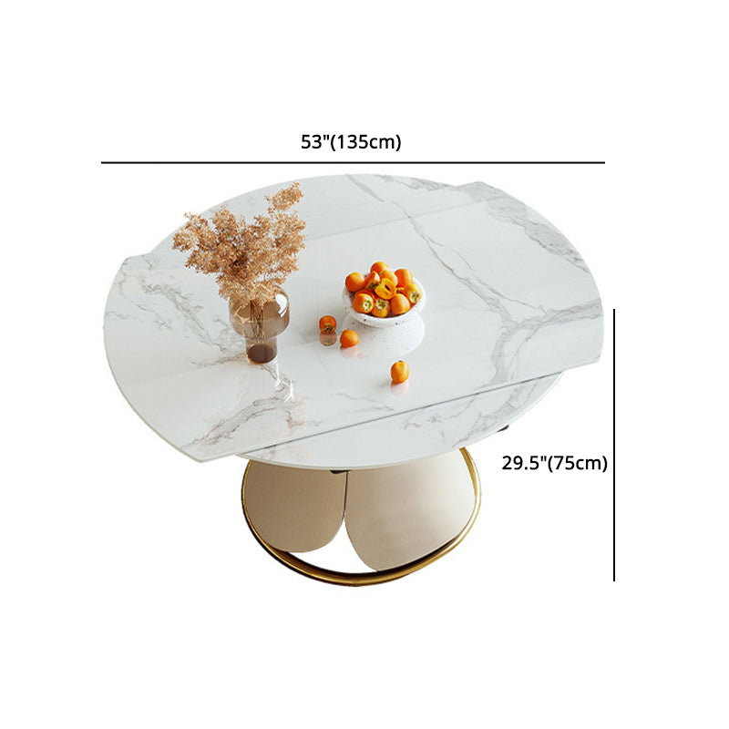 Glam 1/4/5/7 Pieces Dining Set Sintered Stone Dining Table Set Clearhalo 'Dining Room Sets' 'Dining Tables & Seating' 'dining_room_set' 'furn' 'furn_dining_room_set' 'Furniture' 'furniture_dining_room_set' 'Kitchen & Dining Furniture' 4745400