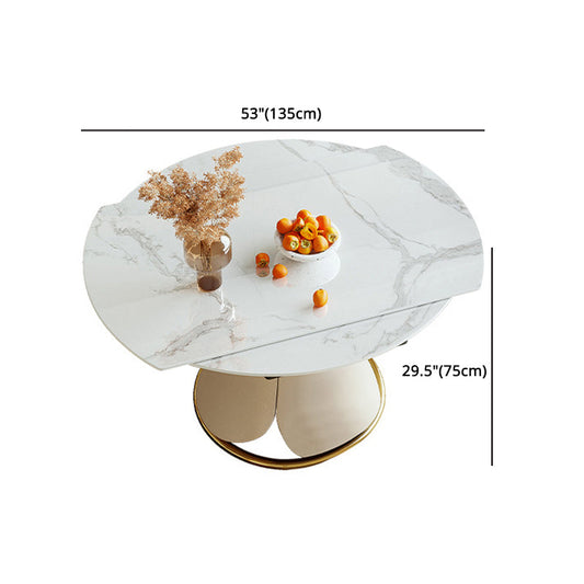 Glam 1/4/5/7 Pieces Dining Set Sintered Stone Dining Table Set Clearhalo 'Dining Room Sets' 'Dining Tables & Seating' 'dining_room_set' 'furn' 'furn_dining_room_set' 'Furniture' 'furniture_dining_room_set' 'Kitchen & Dining Furniture' 4745400