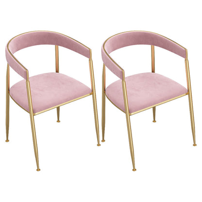 Nordic Design Open Back Side Chair Luxury Dining Fabric Side Chair Pink 2 Piece Set Clearhalo 'Dining Chairs' 'Dining Tables & Seating' 'dining_chair' 'furn' 'furn_dining_chair' 'Furniture' 'furniture_dining_chair' 'Kitchen & Dining Furniture' 4746269
