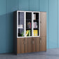 Contemporary Style Bookshelf for Home Office Study Room Bookcase with Door Clearhalo 'Bookcases' 'furn' 'furn_bookcases' 'Furniture' 'furniture_bookcases' 'kitchen' 'kitchen_bookcases' 'Living Room Furniture' 'Office Furniture' 4750688