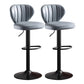 Metal Contemporary Kitchen Dining Room Stool Adjustable Height Armless Barstool Smoke Gray 2 Piece Set Clearhalo 'Bar Furniture' 'Bar Stools' 'bar_stools' 'furn' 'furn_bar_stools' 'Furniture' 'furniture_bar_stools' 'Kitchen & Dining Furniture' 4758631