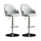 Metal Contemporary Kitchen Dining Room Arm Stool Adjustable Height Barstool Grey Silver Set of 2 Clearhalo 'Bar Furniture' 'Bar Stools' 'bar_stools' 'Furniture' 'furniture_bar_stools' 'Kitchen & Dining Furniture' 4758705