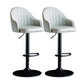 Metal Contemporary Kitchen Dining Room Arm Stool Adjustable Height Barstool Light Gray Black Set of 2 Clearhalo 'Bar Furniture' 'Bar Stools' 'bar_stools' 'Furniture' 'furniture_bar_stools' 'Kitchen & Dining Furniture' 4758706